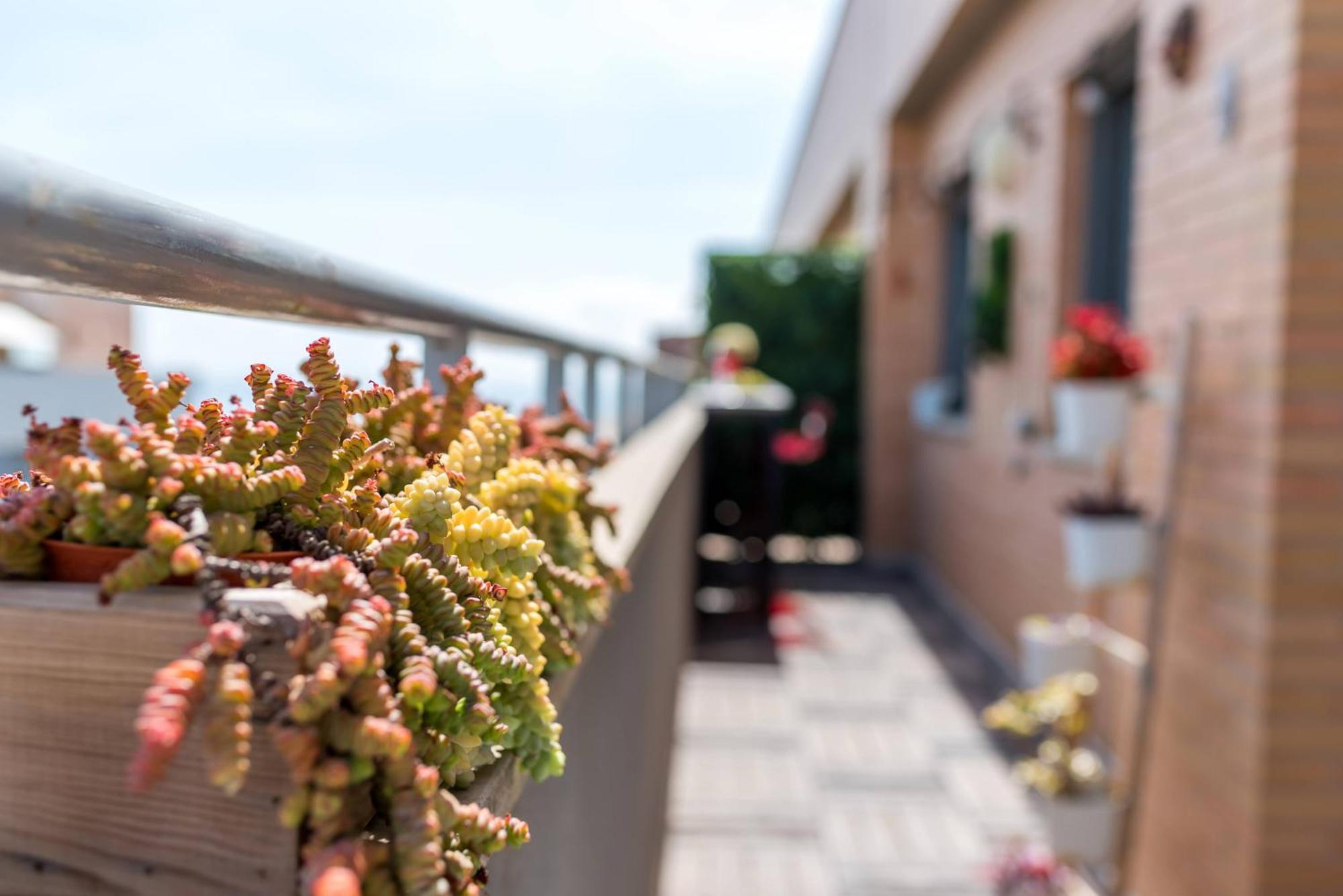 Apartamento Ático con terraza y vistas, parking gratuito Málaga Exterior foto